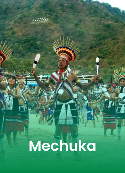 Your paragraph text (31)