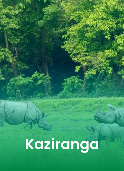 Your paragraph text (32)