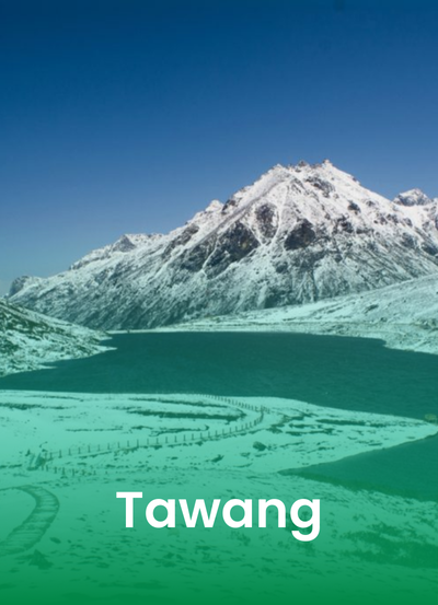 Your paragraph text (33)