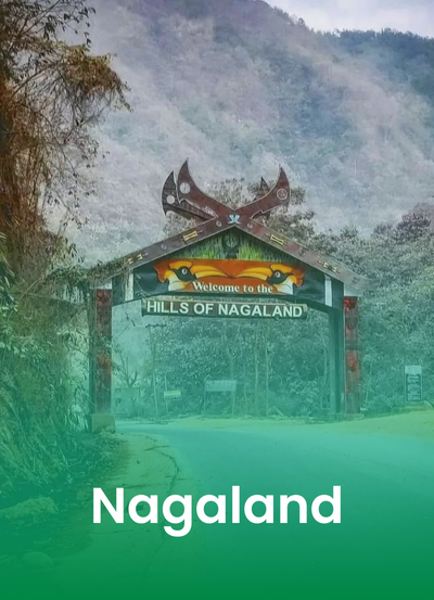 Your paragraph text (34)